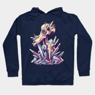 Pachy Crystals Hoodie